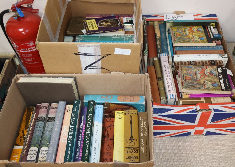 Three boxes of books on Egypt